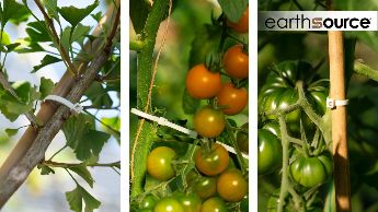 Biodegradable cable ties