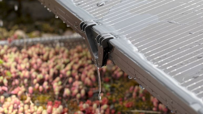Solar Drain Clip